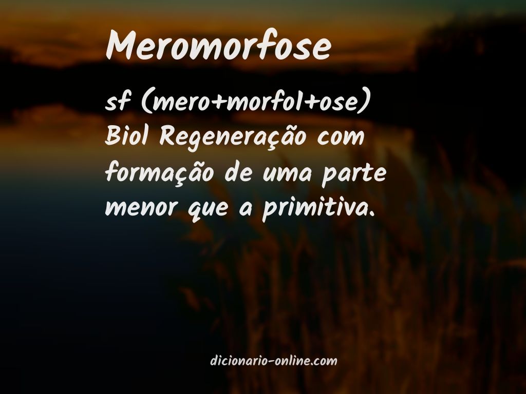 Significado de meromorfose