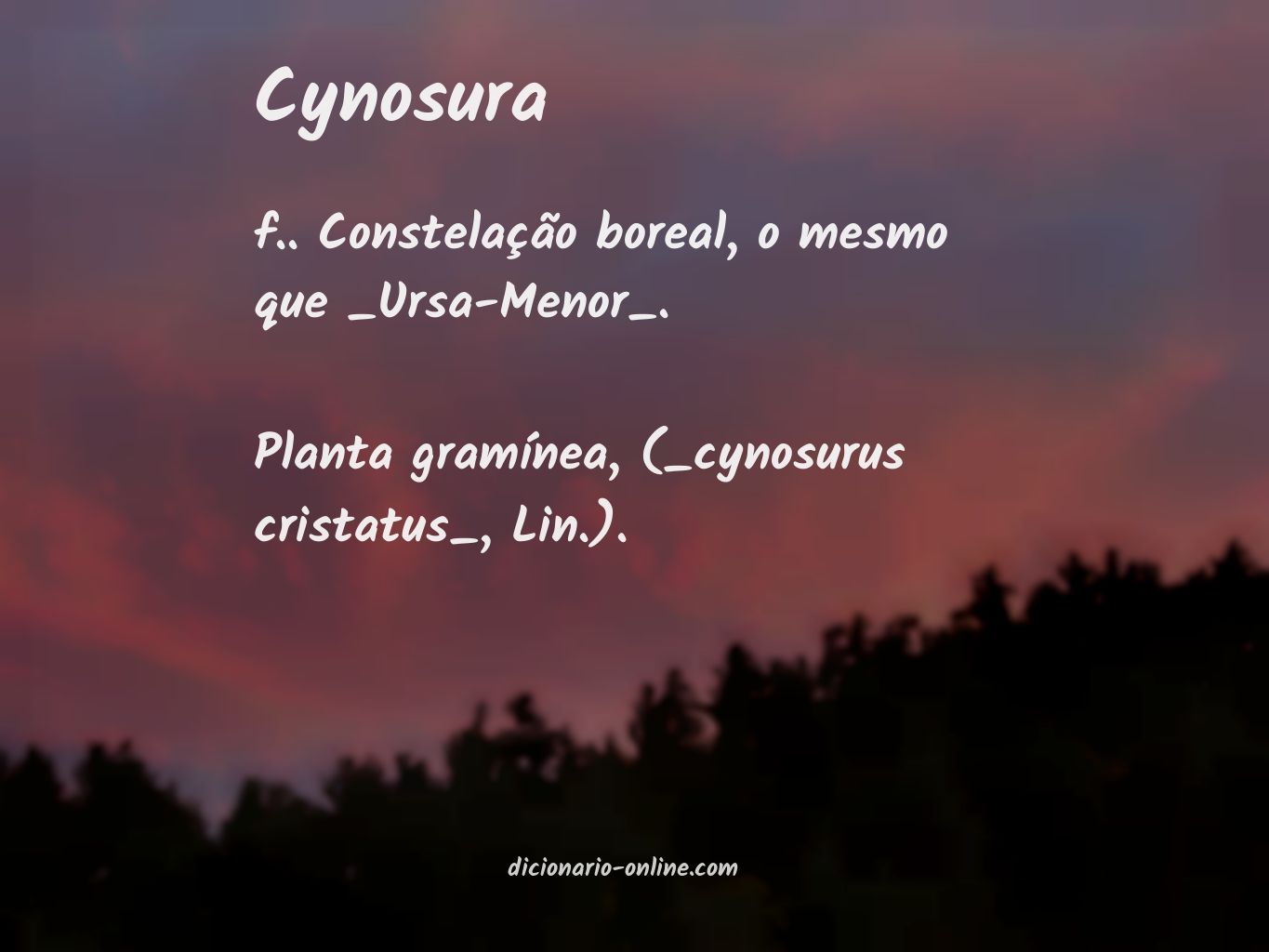 Significado de cynosura