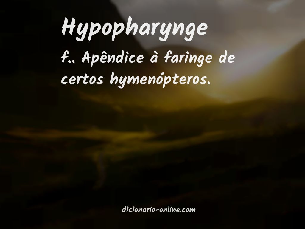 Significado de hypopharynge