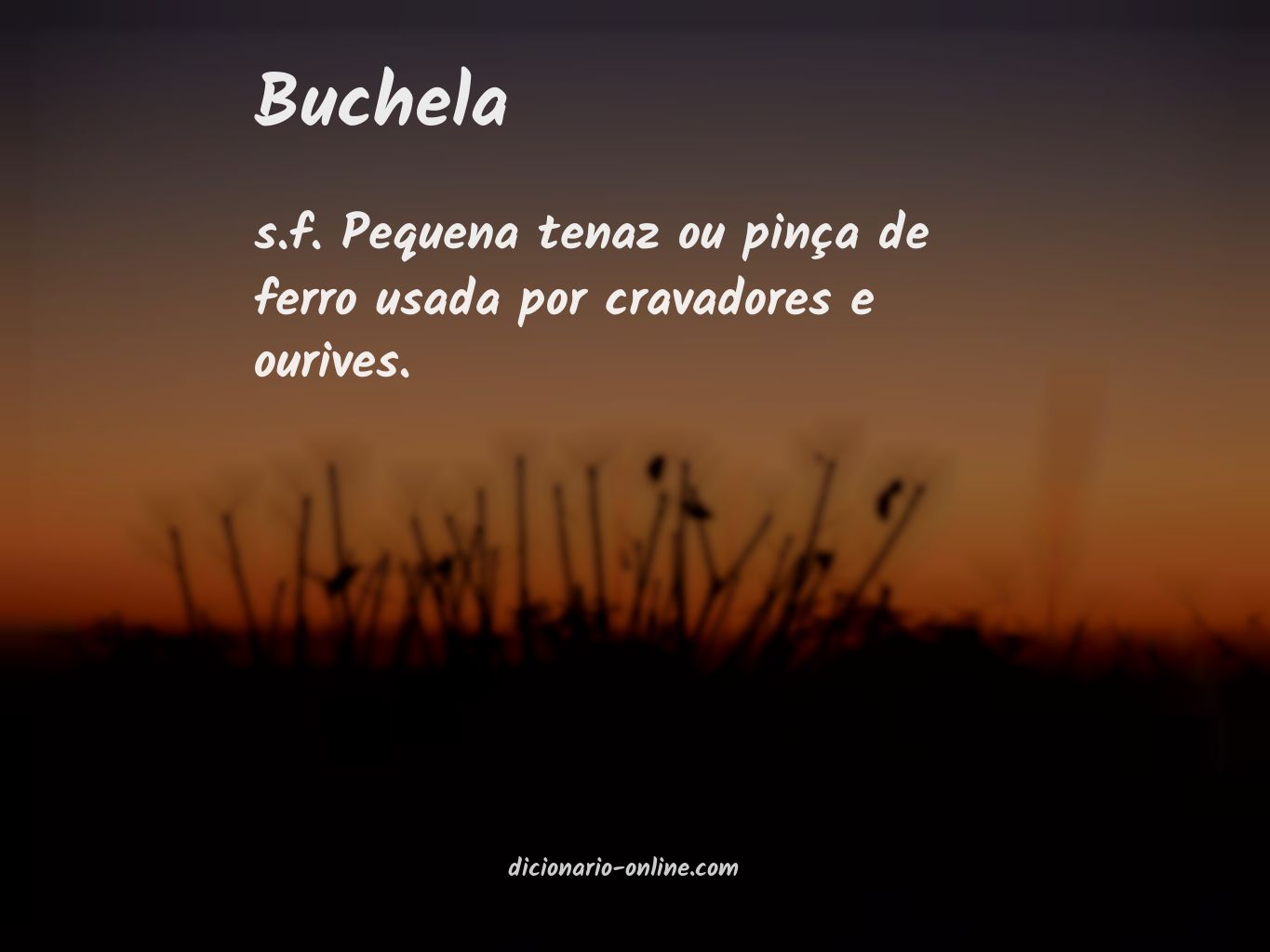 Significado de buchela