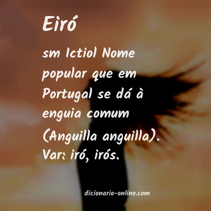 Significado de eiró