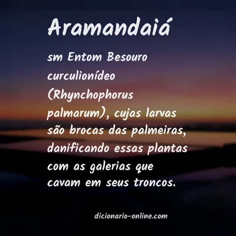 Significado de aramandaiá