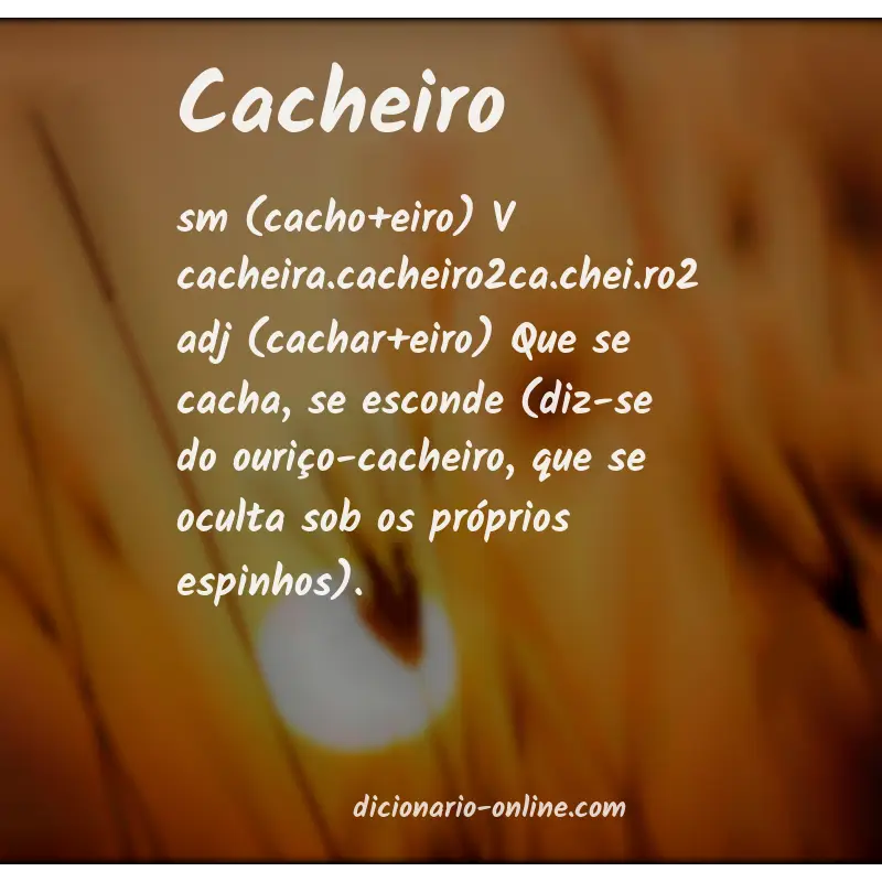 Significado de cacheiro