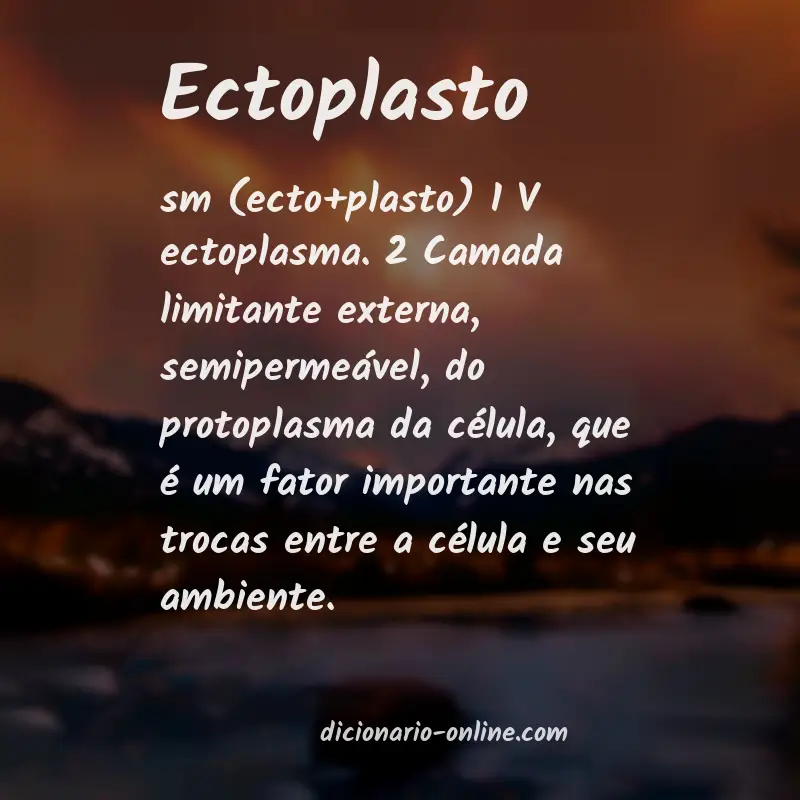 Significado de ectoplasto