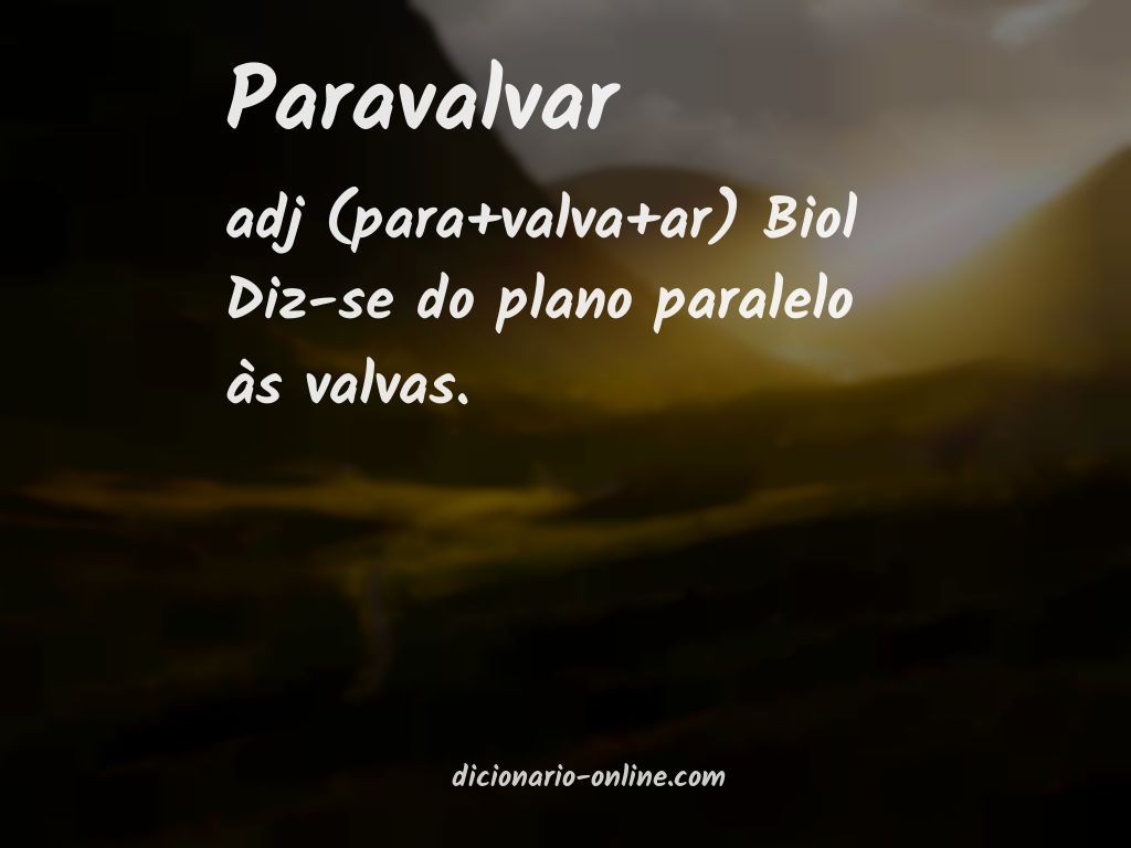 Significado de paravalvar