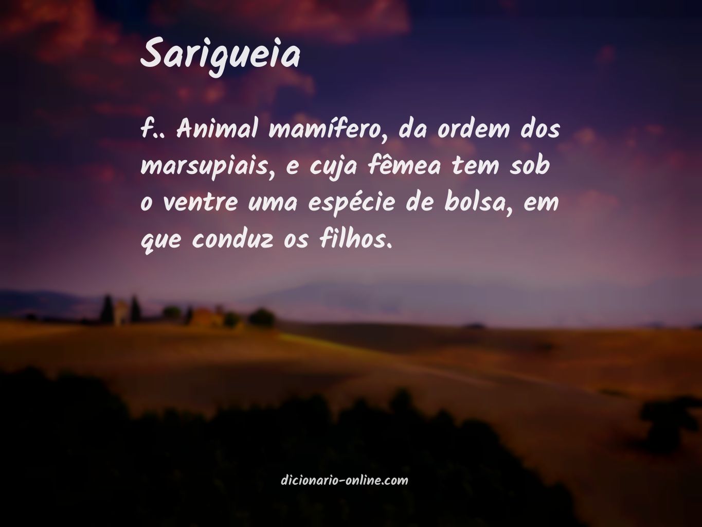 Significado de sarigueia