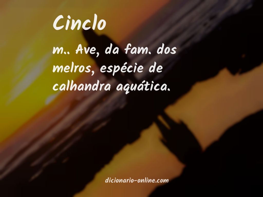 Significado de cinclo