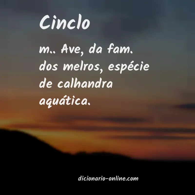 Significado de cinclo