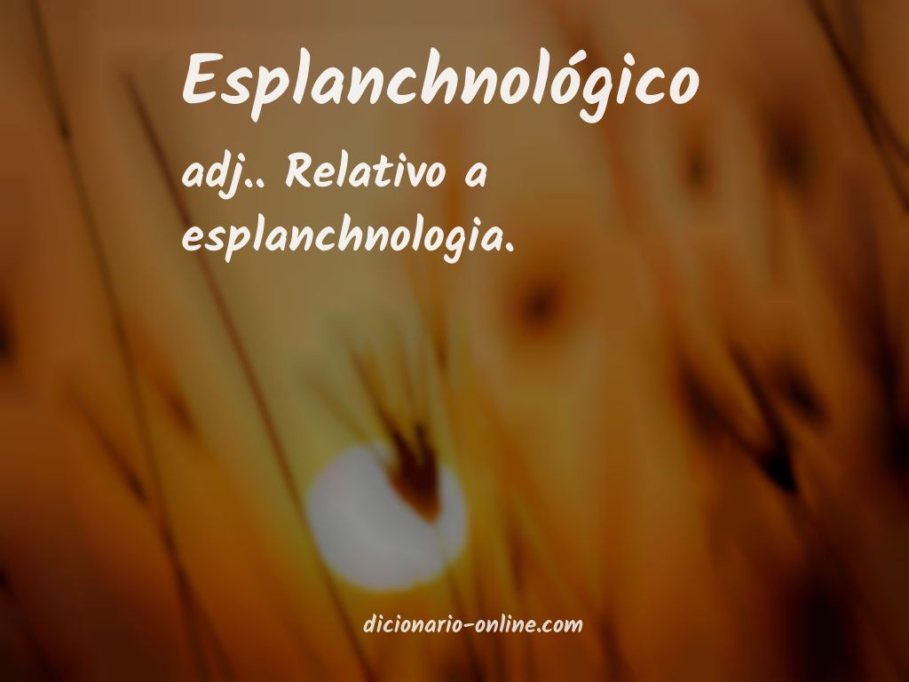 Significado de esplanchnológico