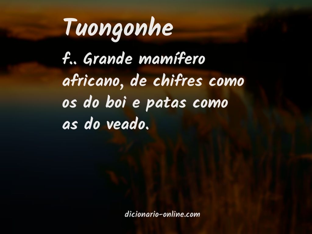 Significado de tuongonhe