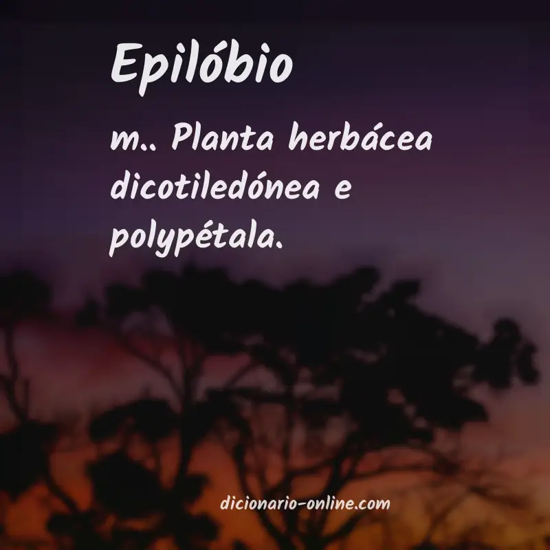 Significado de epilóbio