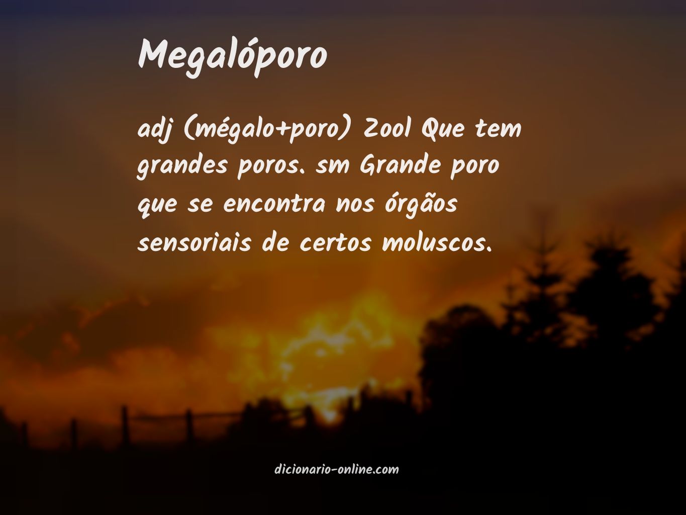 Significado de megalóporo