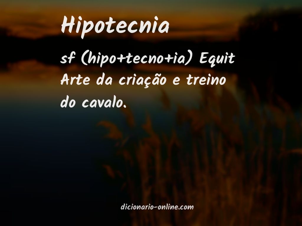 Significado de hipotecnia