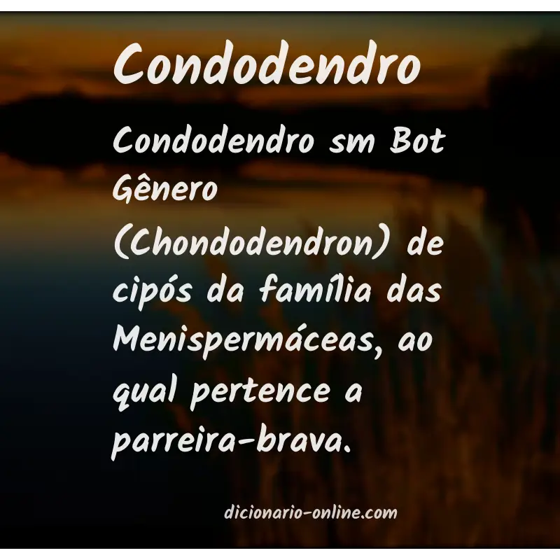 Significado de condodendro