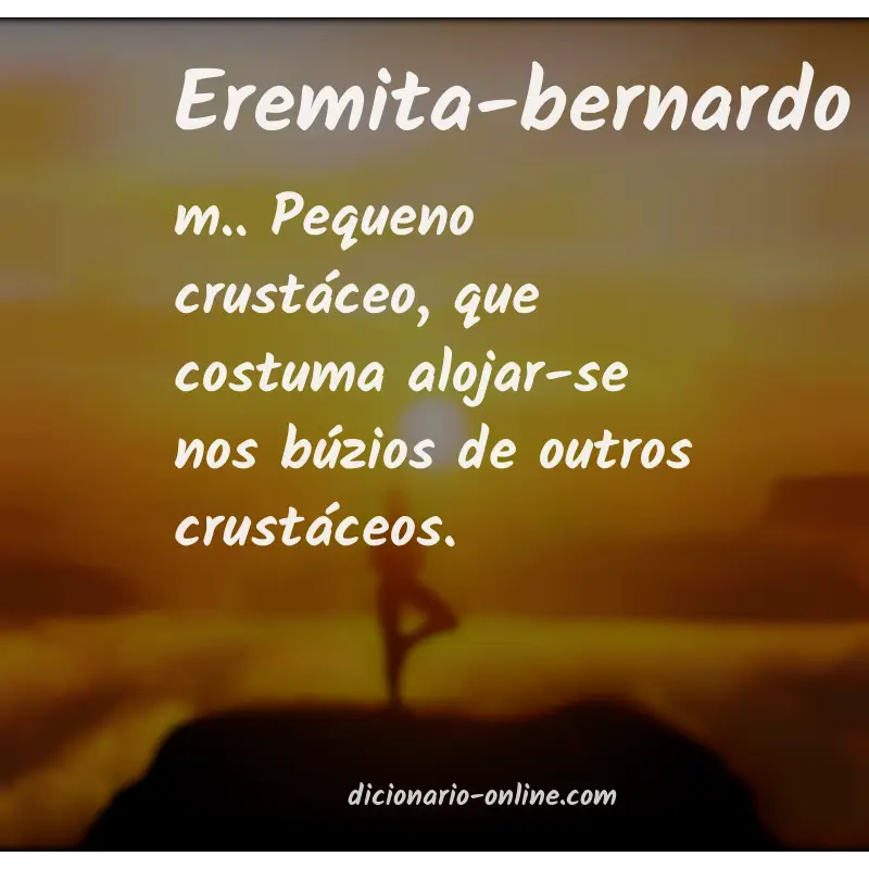 Significado de eremita-bernardo
