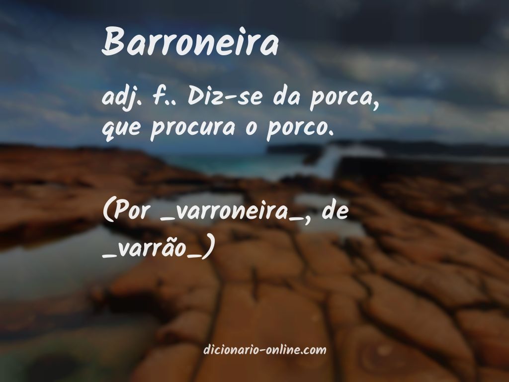 Significado de barroneira