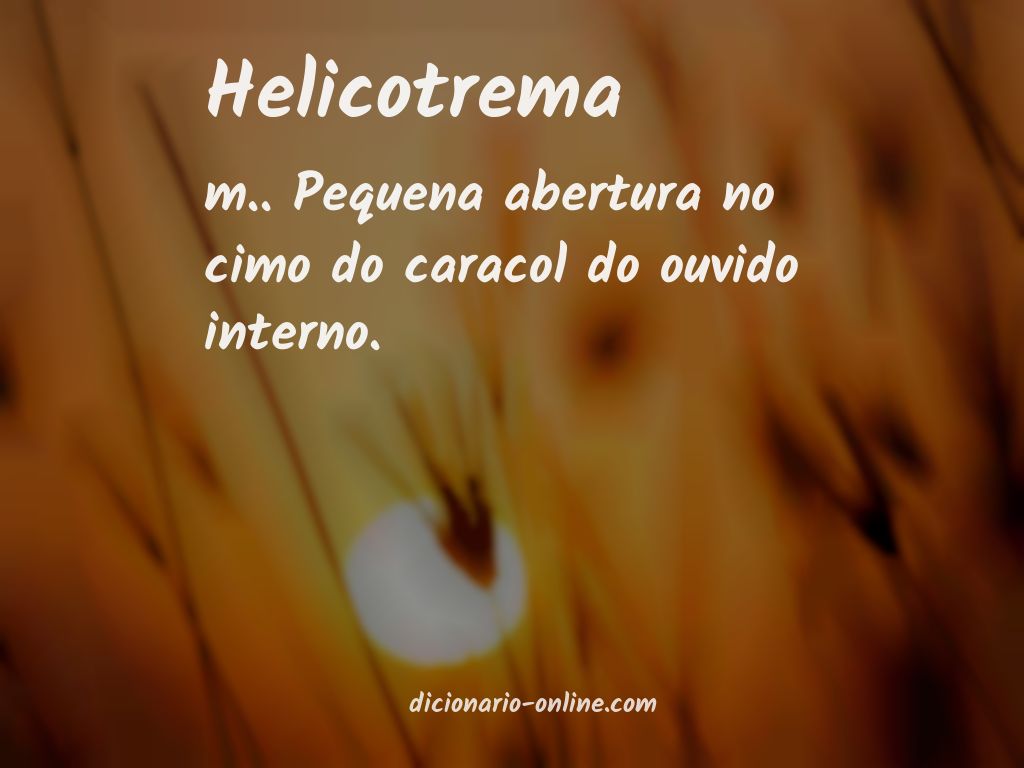 Significado de helicotrema