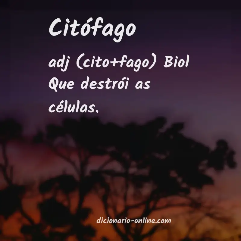 Significado de citófago