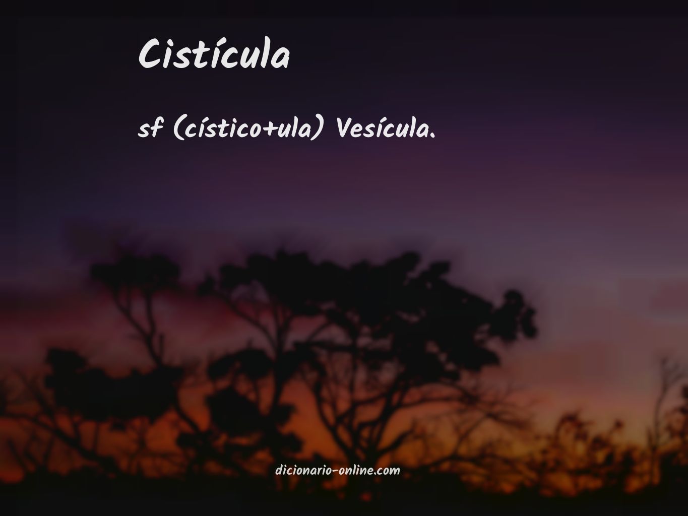 Significado de cistícula