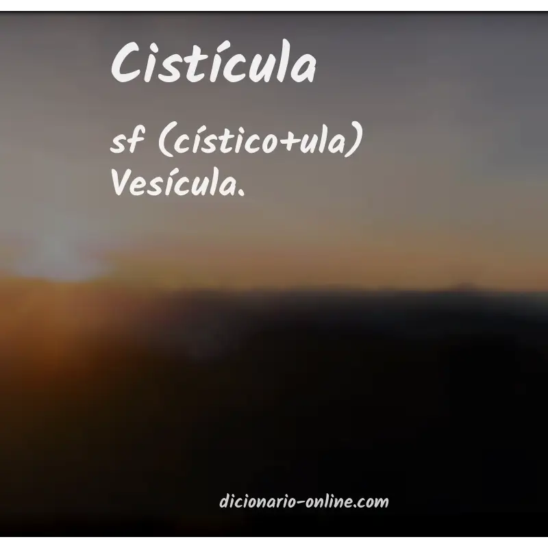 Significado de cistícula