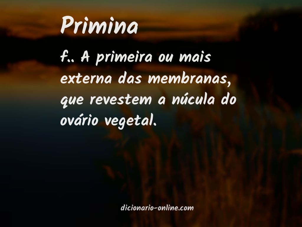 Significado de primina