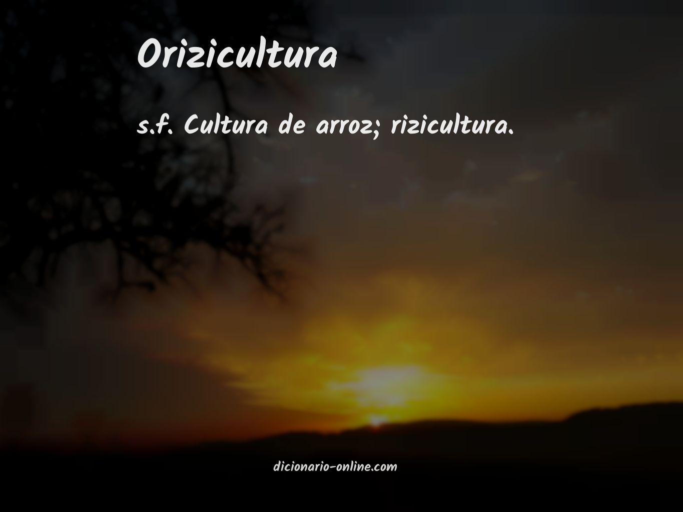 Significado de orizicultura