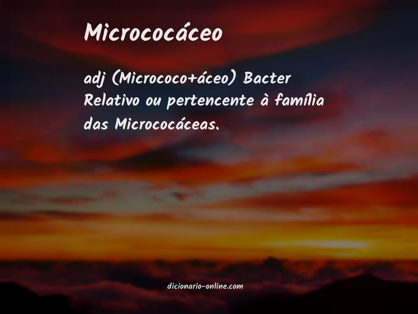 Significado de micrococáceo