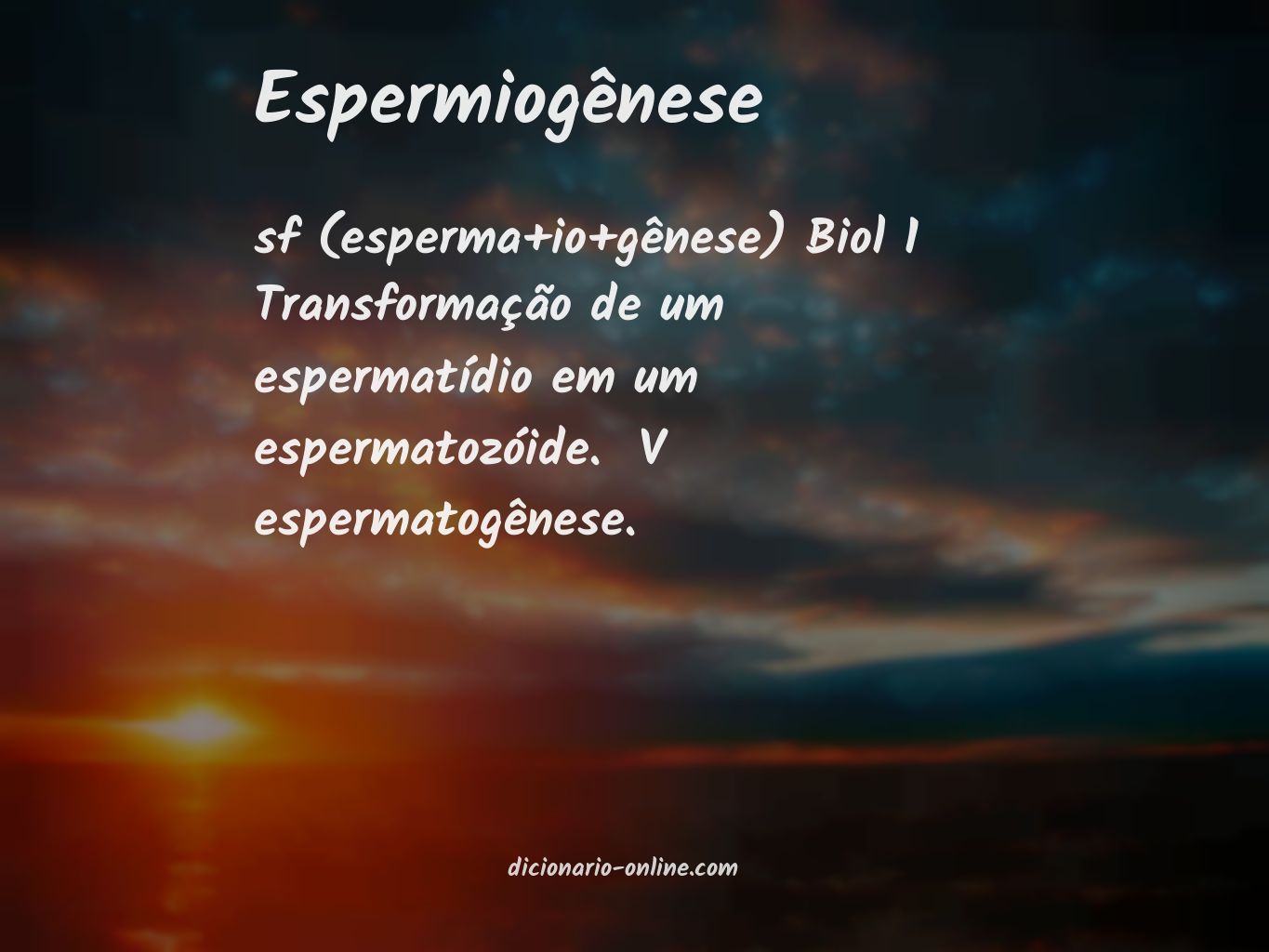 Significado de espermiogênese