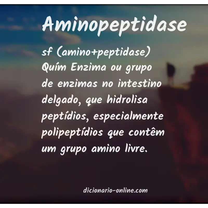 Significado de aminopeptidase