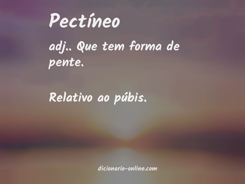 Significado de pectíneo