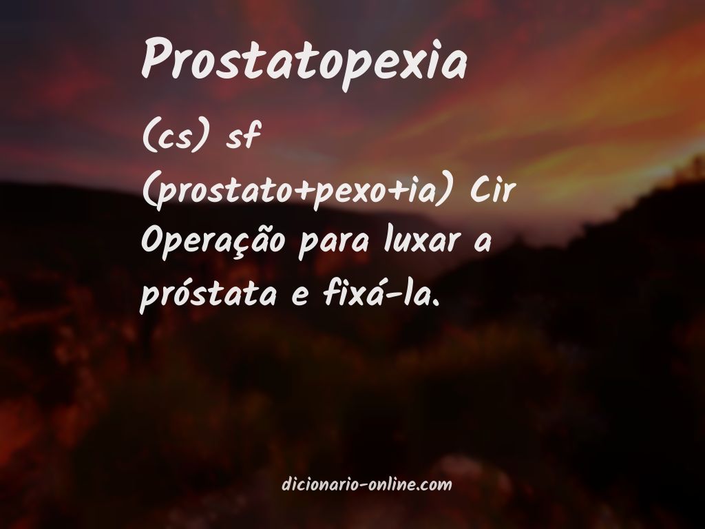 Significado de prostatopexia