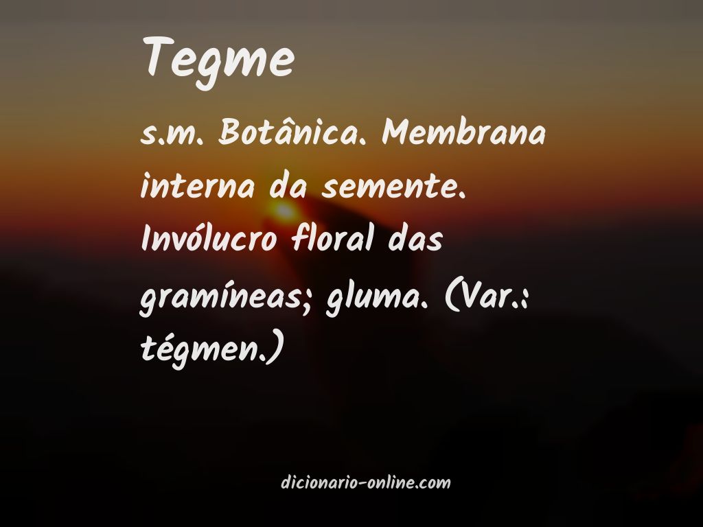 Significado de tegme