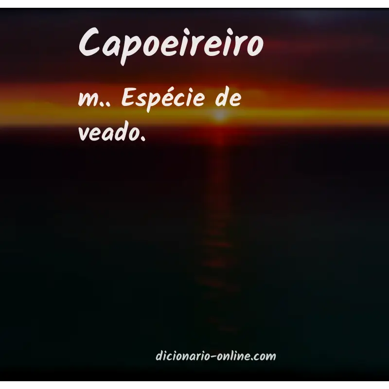 Significado de capoeireiro