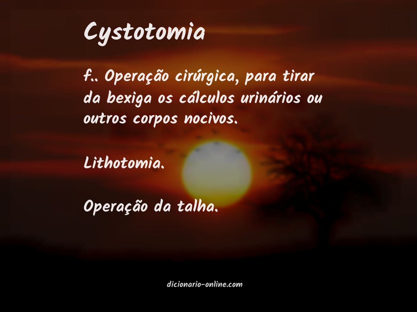 Significado de cystotomia