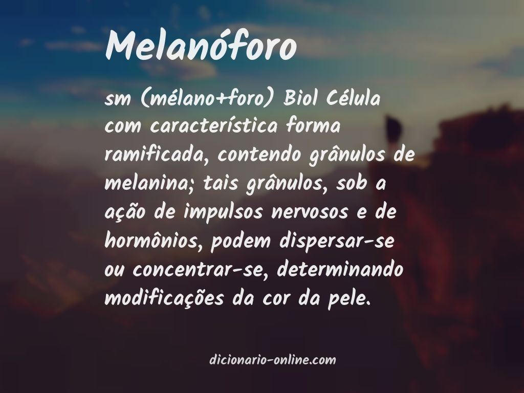 Significado de melanóforo