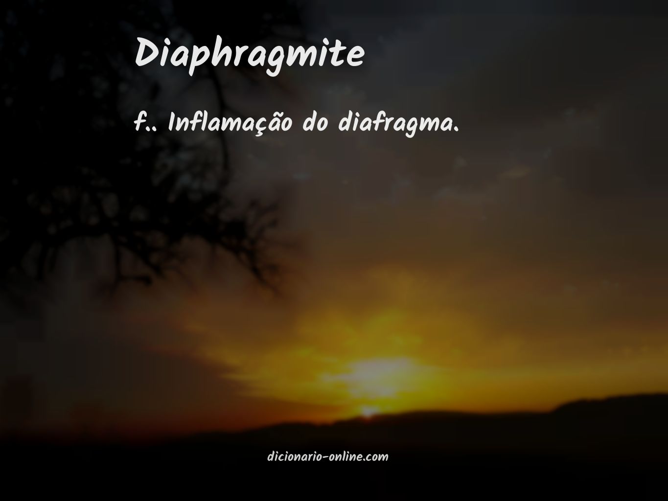 Significado de diaphragmite