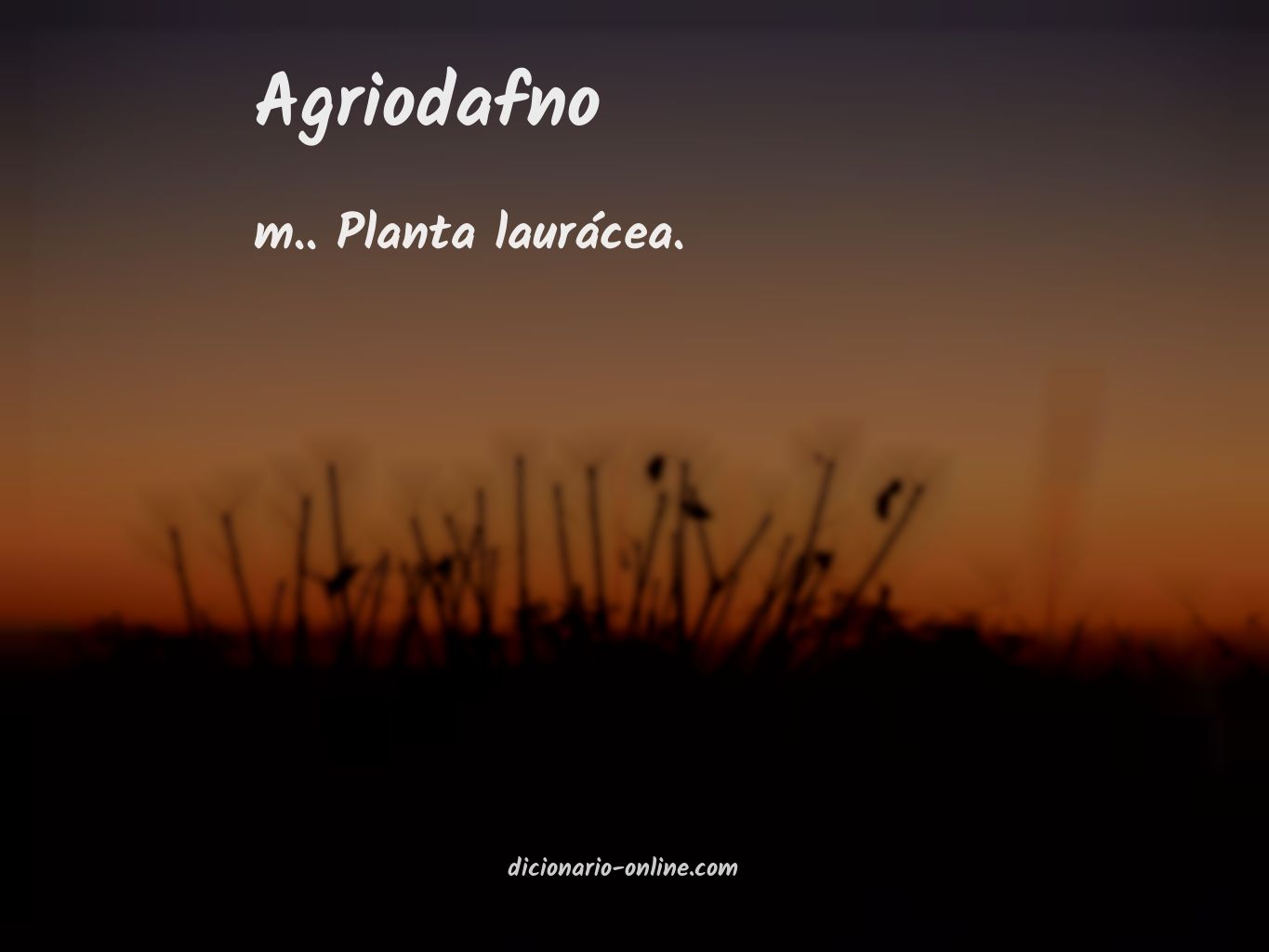 Significado de agriodafno