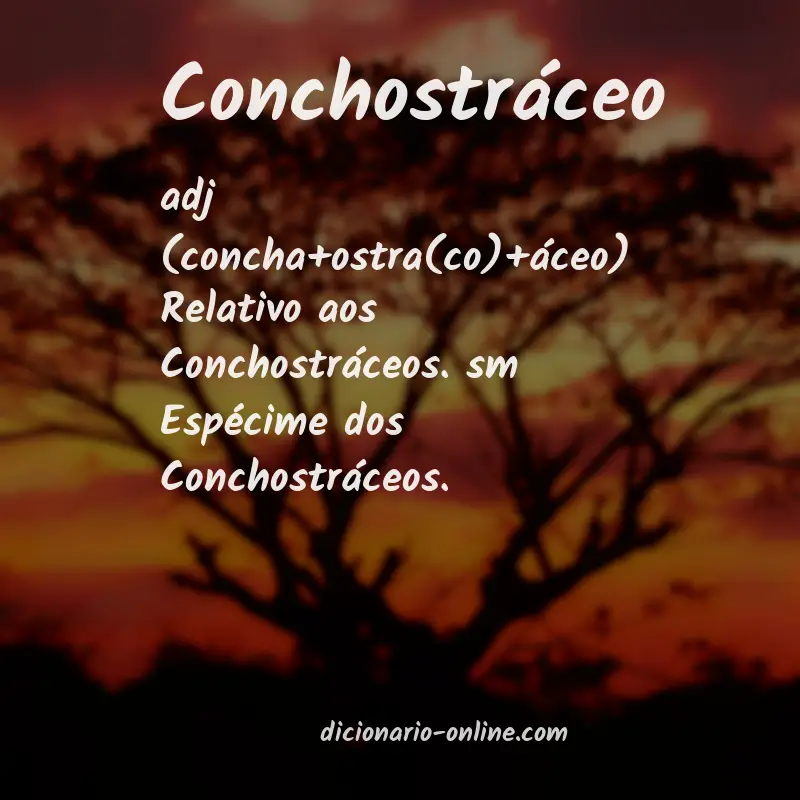 Significado de conchostráceo