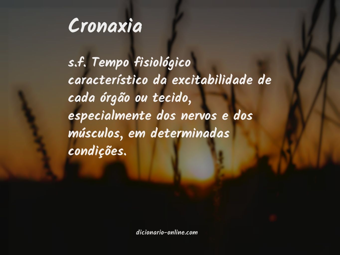 Significado de cronaxia