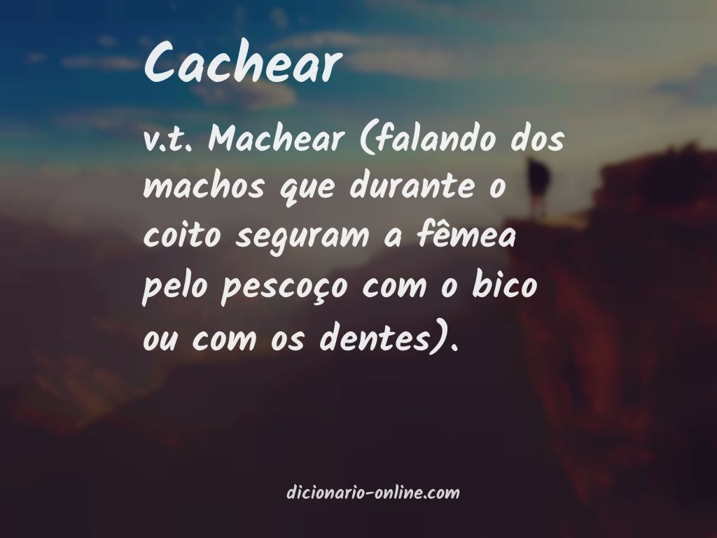 Significado de cachear