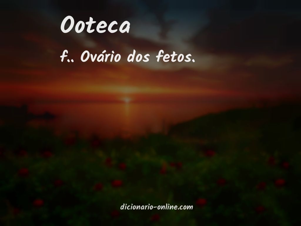 Significado de ooteca