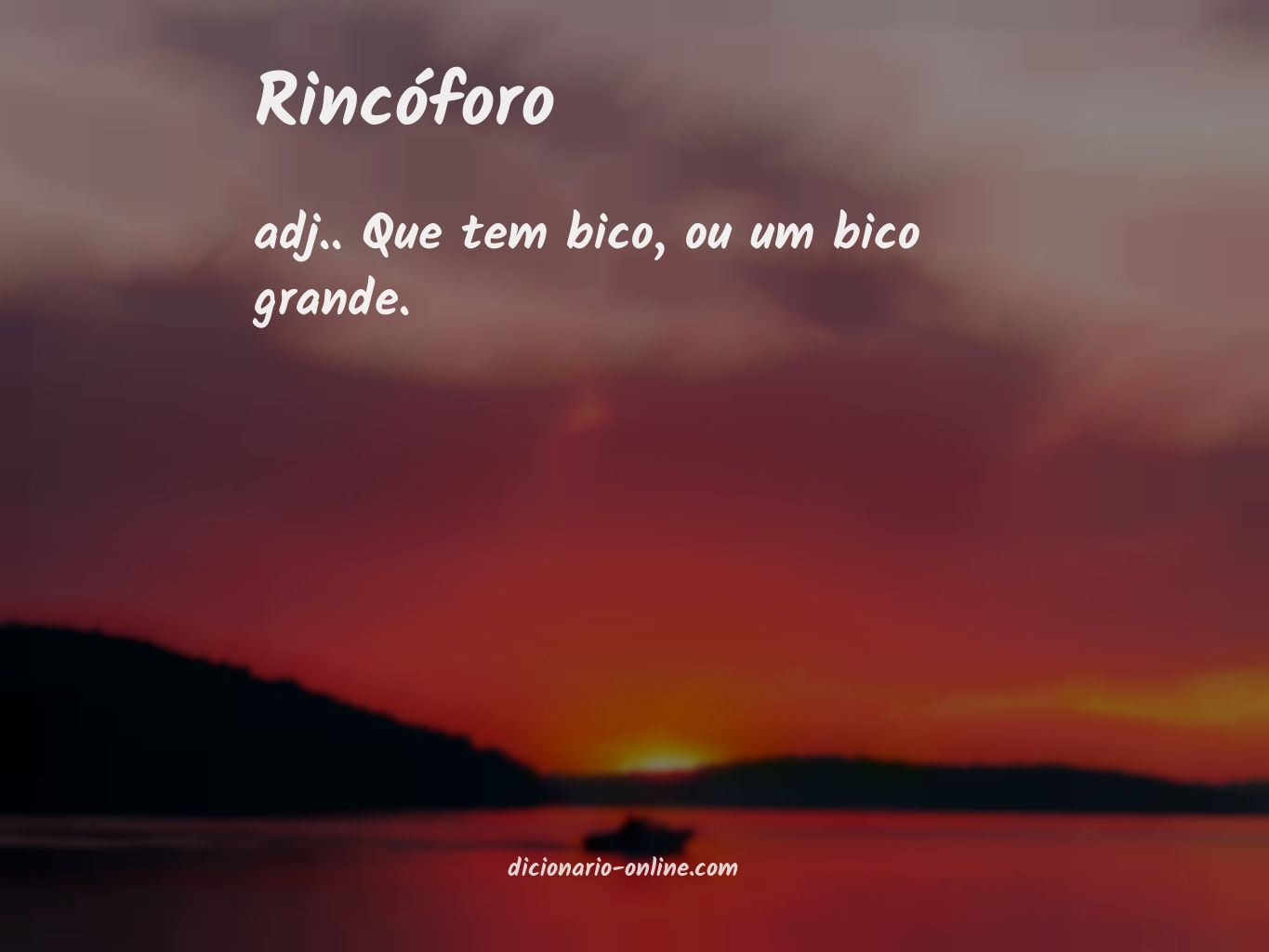 Significado de rincóforo