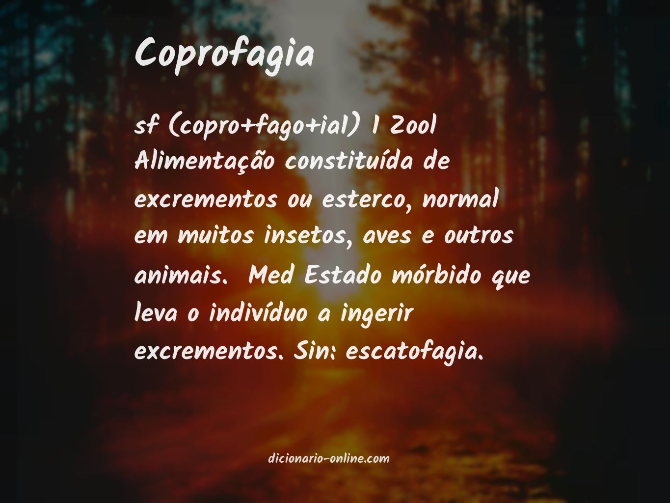 Significado de coprofagia