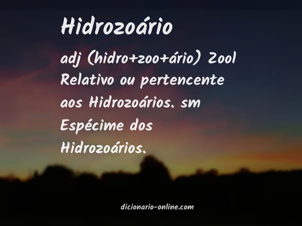 Significado de hidrozoário