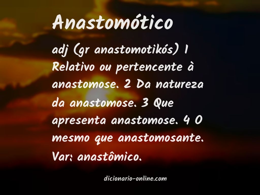 Significado de anastomótico