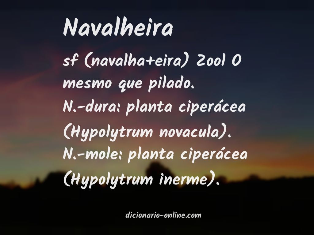 Significado de navalheira