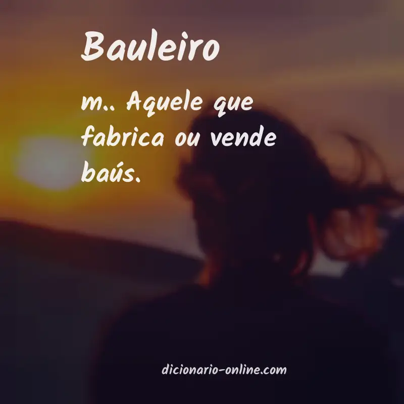 Significado de bauleiro