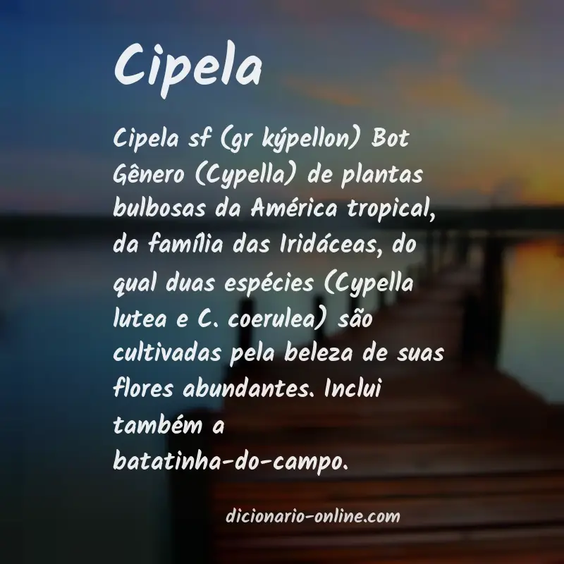Significado de cipela