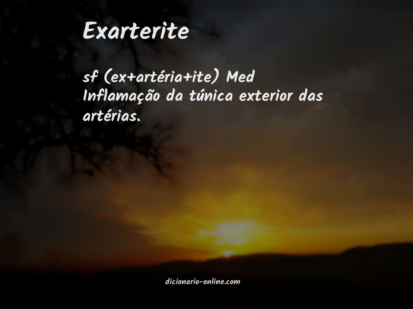 Significado de exarterite