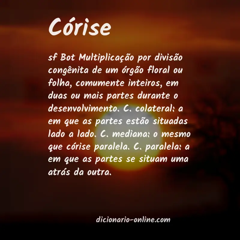 Significado de córise